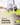 Two construction workers in high-visibility yellow jackets and white hard hats reviewing blueprints at a building site, with the text 'construsoft drawing solutions' overlaid in the lower left.